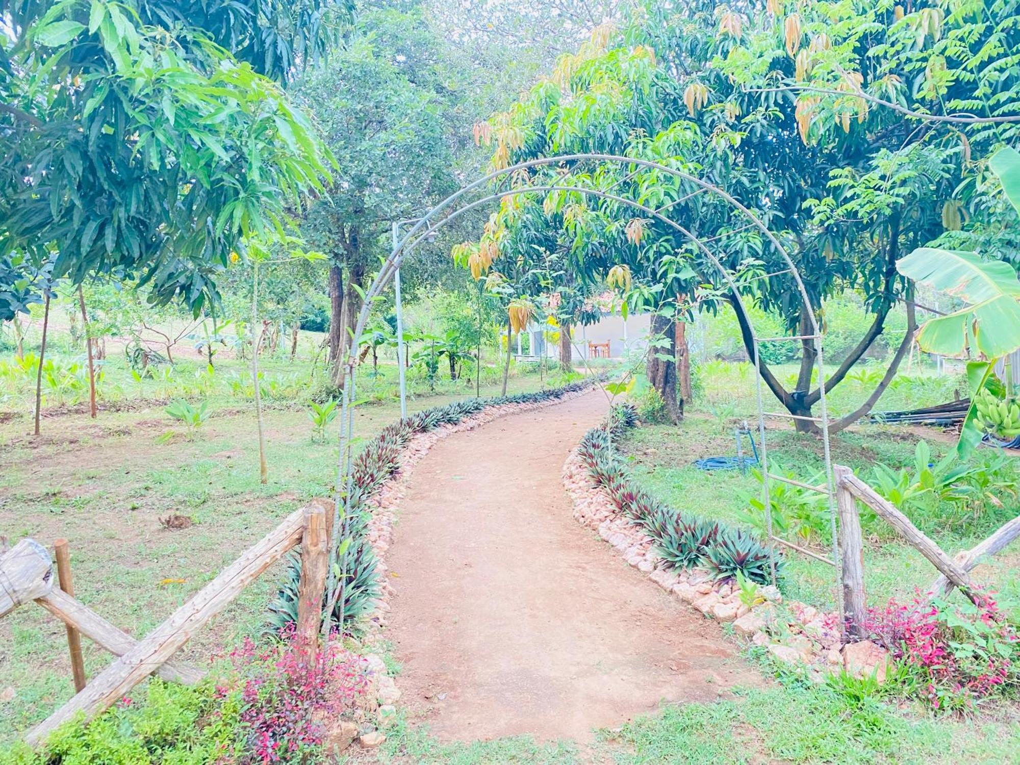 Ima Villa Sigiriya Ngoại thất bức ảnh